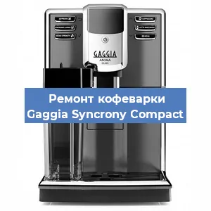 Чистка кофемашины Gaggia Syncrony Compact от кофейных масел в Красноярске